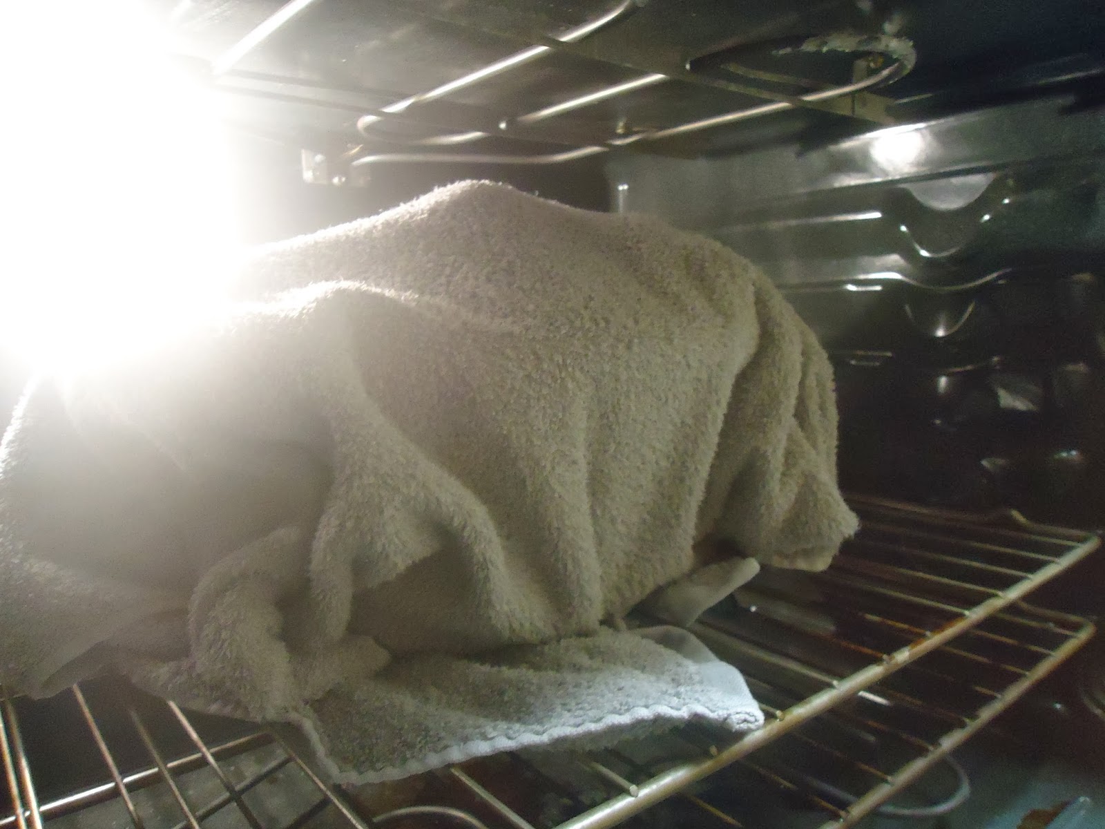 Tales At Bag End: Yogurt, Cheese, and Eggs - The Perfect Food