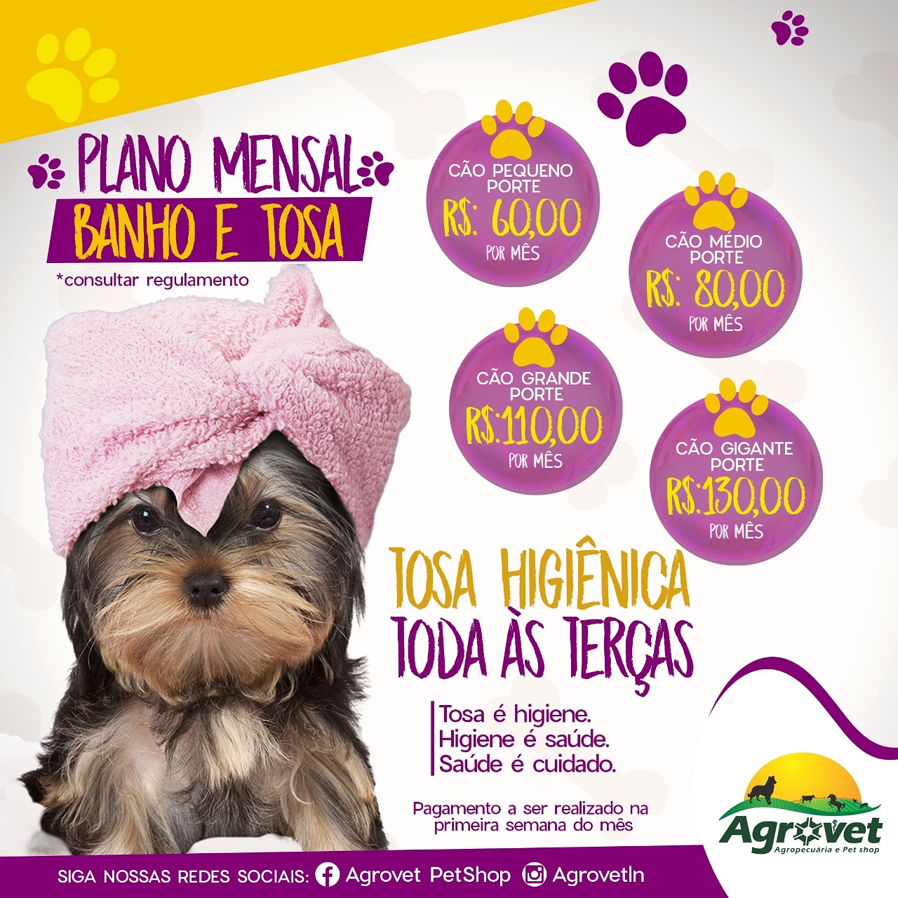 Pacote mensal banho e tosa Clearance