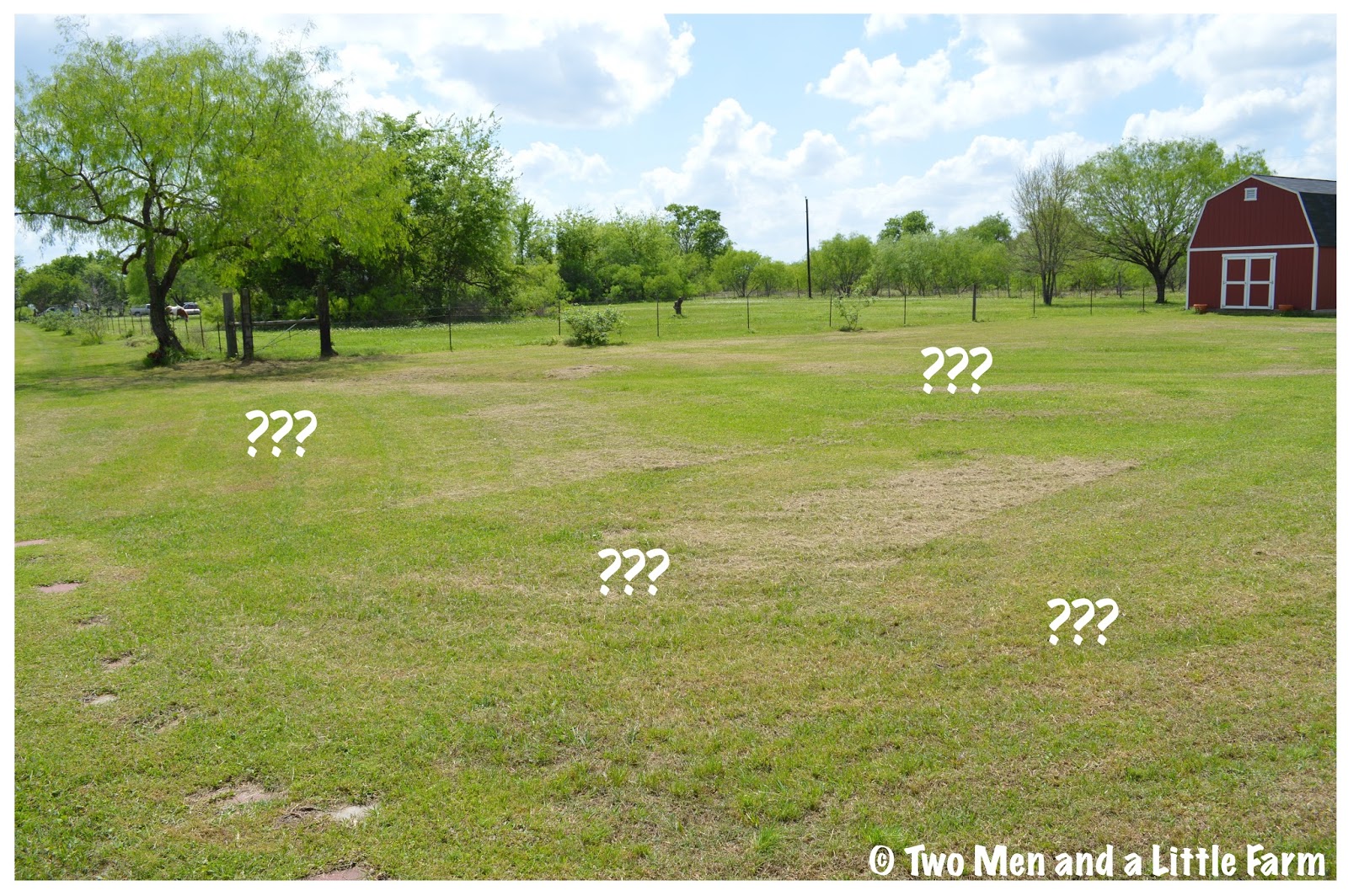 Two Men and a Little Farm FLOWER ISLAND INSPIRATION THURSDAY