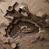 18-Ton Sand Sculpture Backdrops By JOOheng Tan