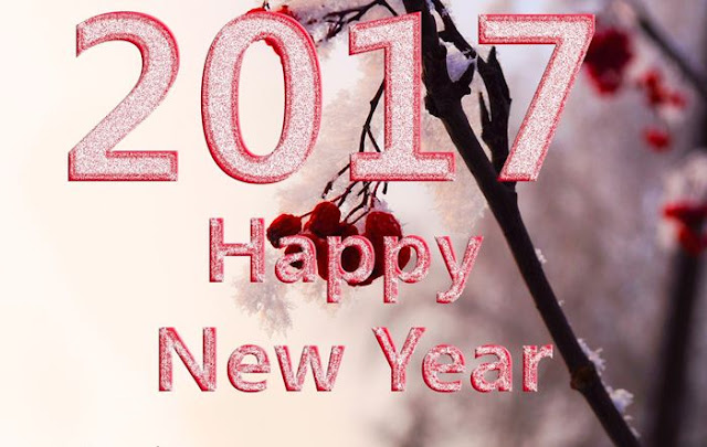 Happy New Year 2017 HD Wallpaper 8 Happy New Year 2017 HD Wallpaper 8
