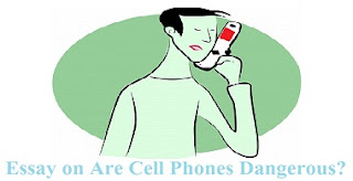 Essay on Are Cell Phones Dangerous