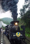 Steam Locomotive Trip