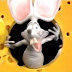 Rat Rap