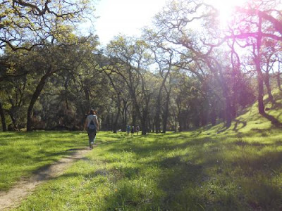 spiritual path, spiritual awakening, spring hike, trees, green grass,