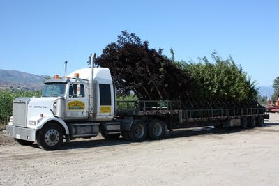 loaded truck