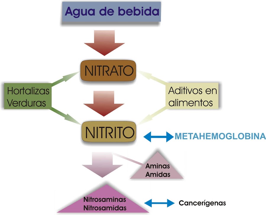 Resultado de imagen para nitrosamina