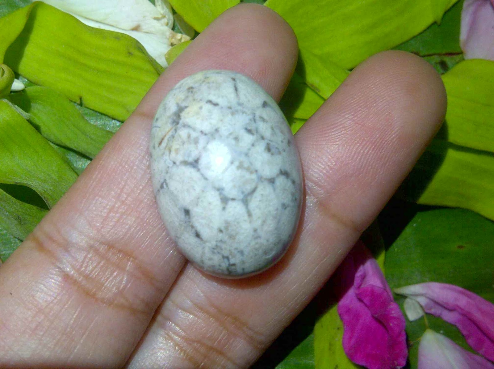  A hand holding a smooth, white and gray stone with a pattern resembling spider webs, which is believed to open the aura of wealth in its wearer.