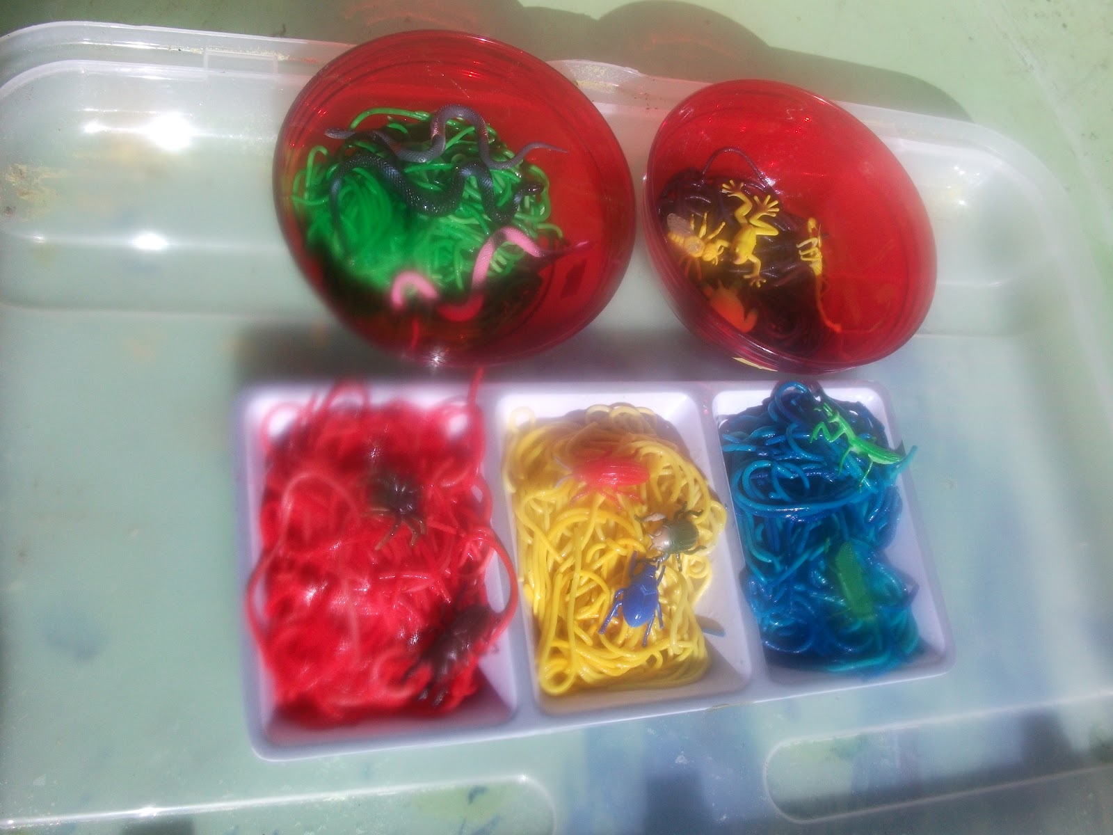 Adventures at home with Mum: Rainbow Spaghetti & Bug Cooking