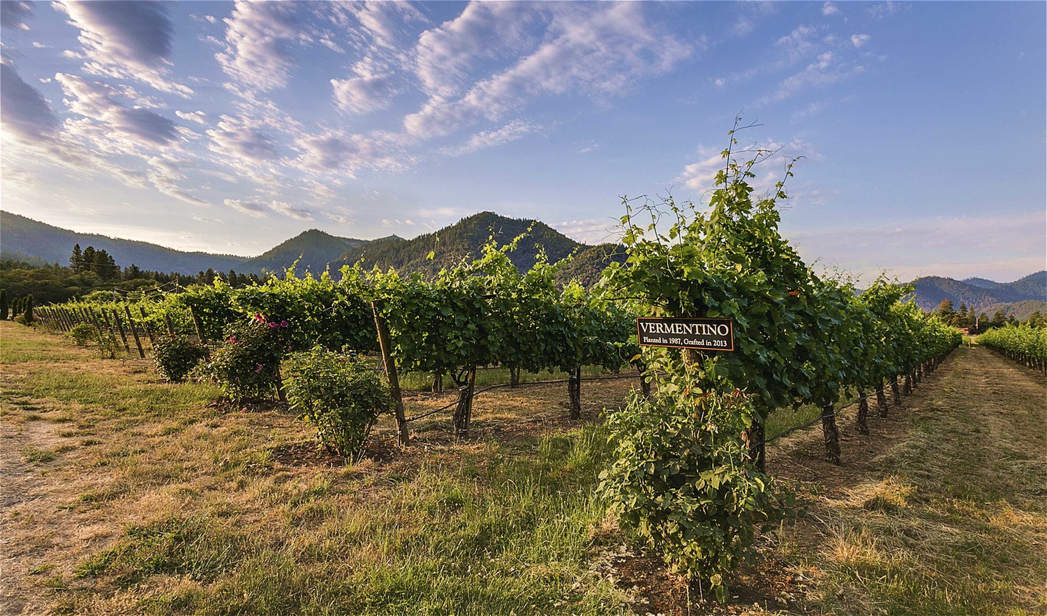 Wine and Wild Spaces Southern Oregon Wines from Troon Vineyard