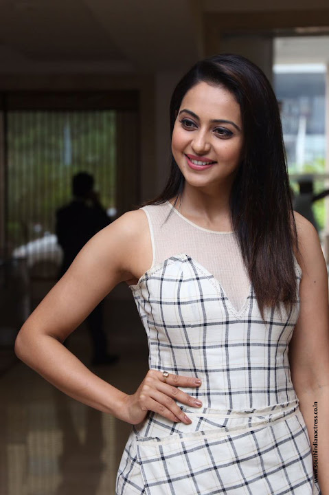 Rakul Preet Singh at Spyder Movie Press Meet