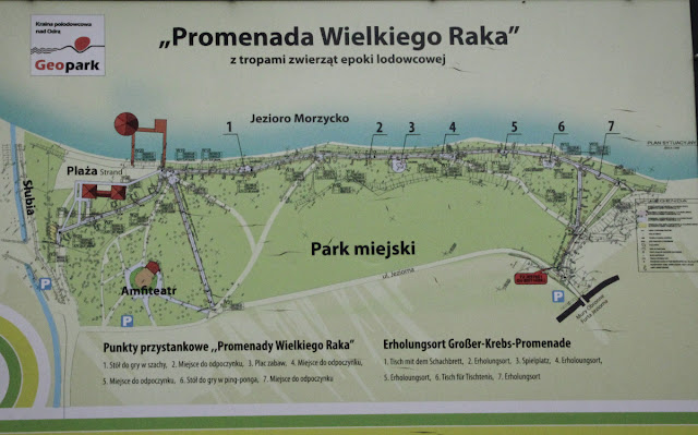 Promenada Wielkiego Raka w Moryniu Promenada z tropami zwierząt epoki lodowcowej