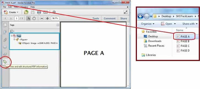 Tips to Add Tag to PDF Documents or Tagged PDF Easily - SKOTechLearn Tips