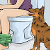 Voici ce que cela signifie quand votre chien vous regarde quand vous allez aux toilettes
