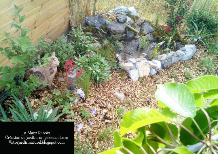 Votre Jardin Naturel en permaculture: Création d\'un massif ... Votre Jardin Naturel en permaculture: Création d\'un massif ...