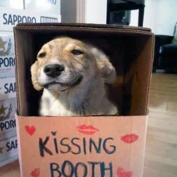 Funny dog pictures : Kissing booth