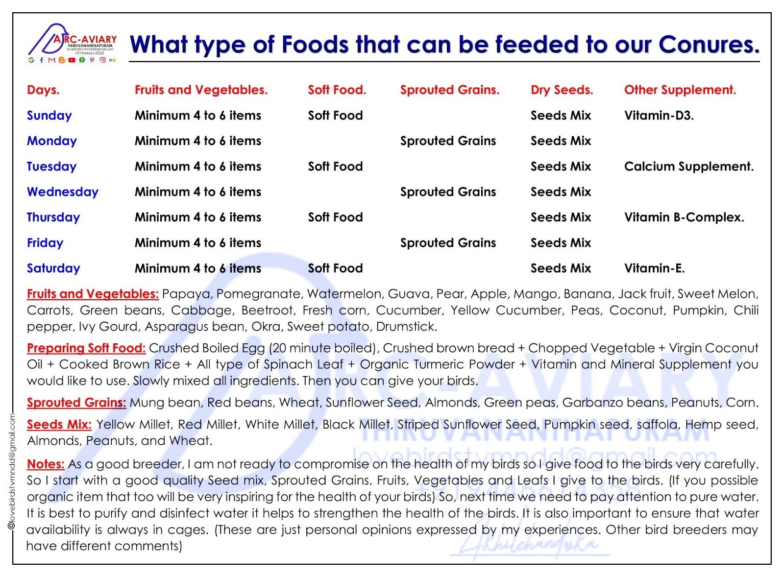 Sun Conure Food Diet