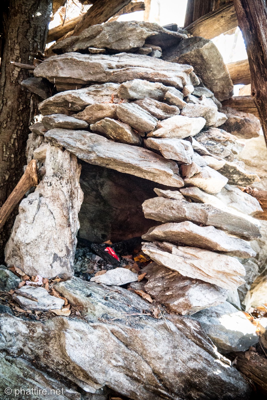 Squirrel Hunting Frederick Watershed