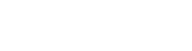 Right Wing Resistance    South-Africa