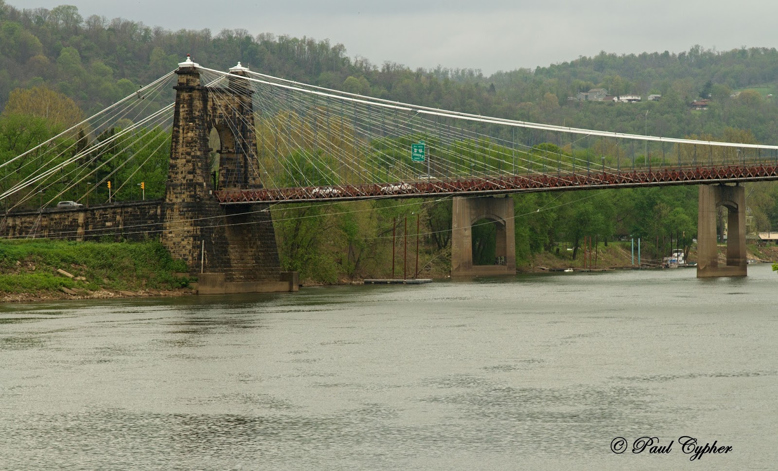 Birds Brews and Blither May 2016