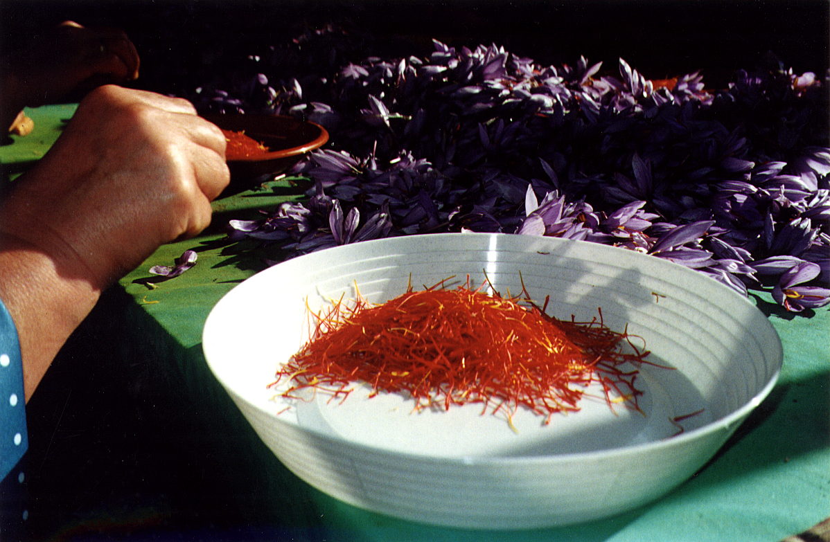 MY KITCHEN IN SPAIN GOLDEN SAFFRON, THE NOVEMBER SPICE