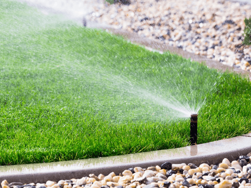 How to Setting up a DIY Water Sprinkler Technique How to Setting up a DIY Water Sprinkler Technique