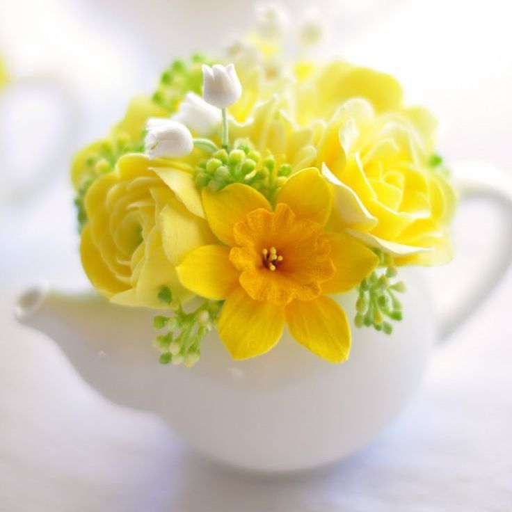 Spring Flower Images Spring Flower Images