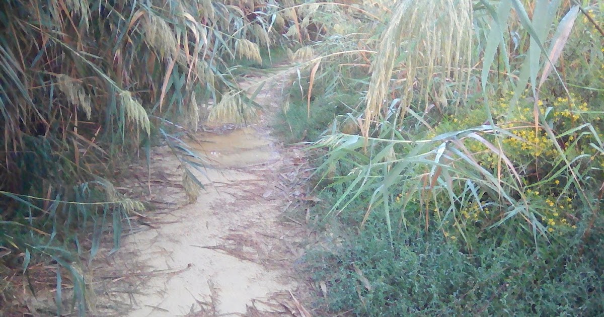 This is Cyprus... Walking along the Salt Lake trail in cooler Cyprus