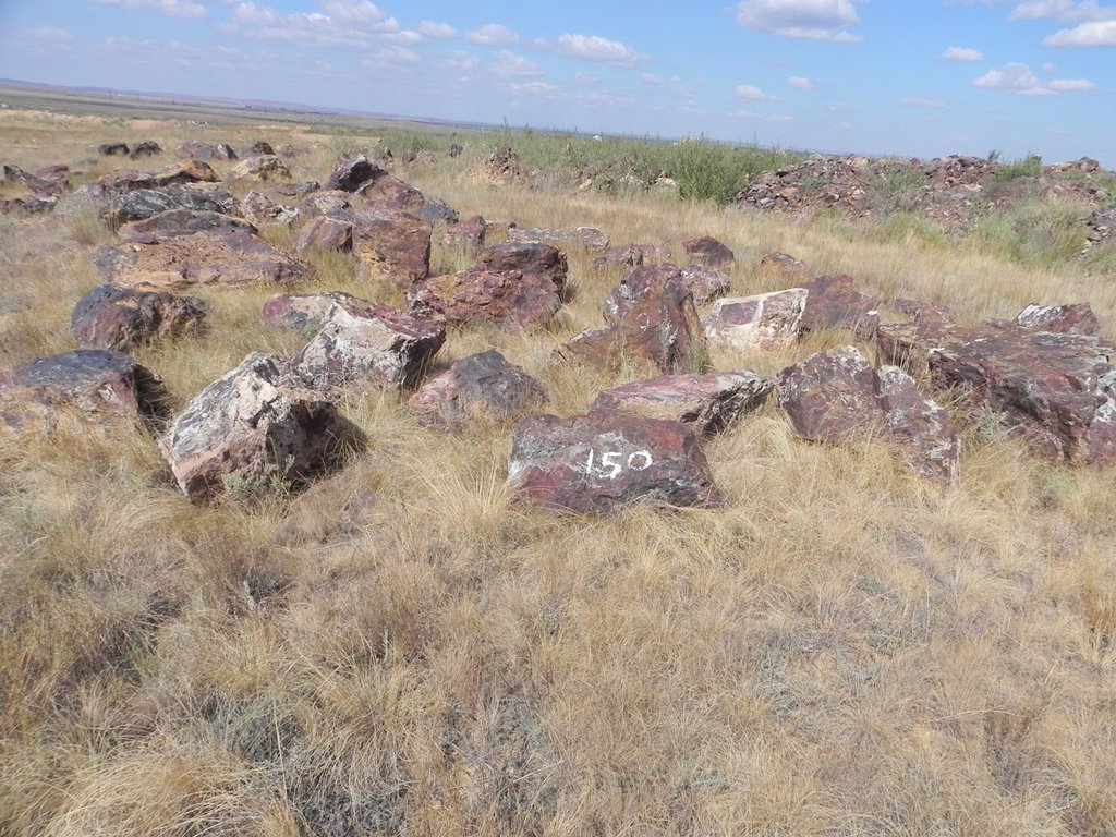 Гора полковник в орске