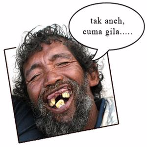 saya tak aneh, tapi gila saya tak aneh, tapi gila
