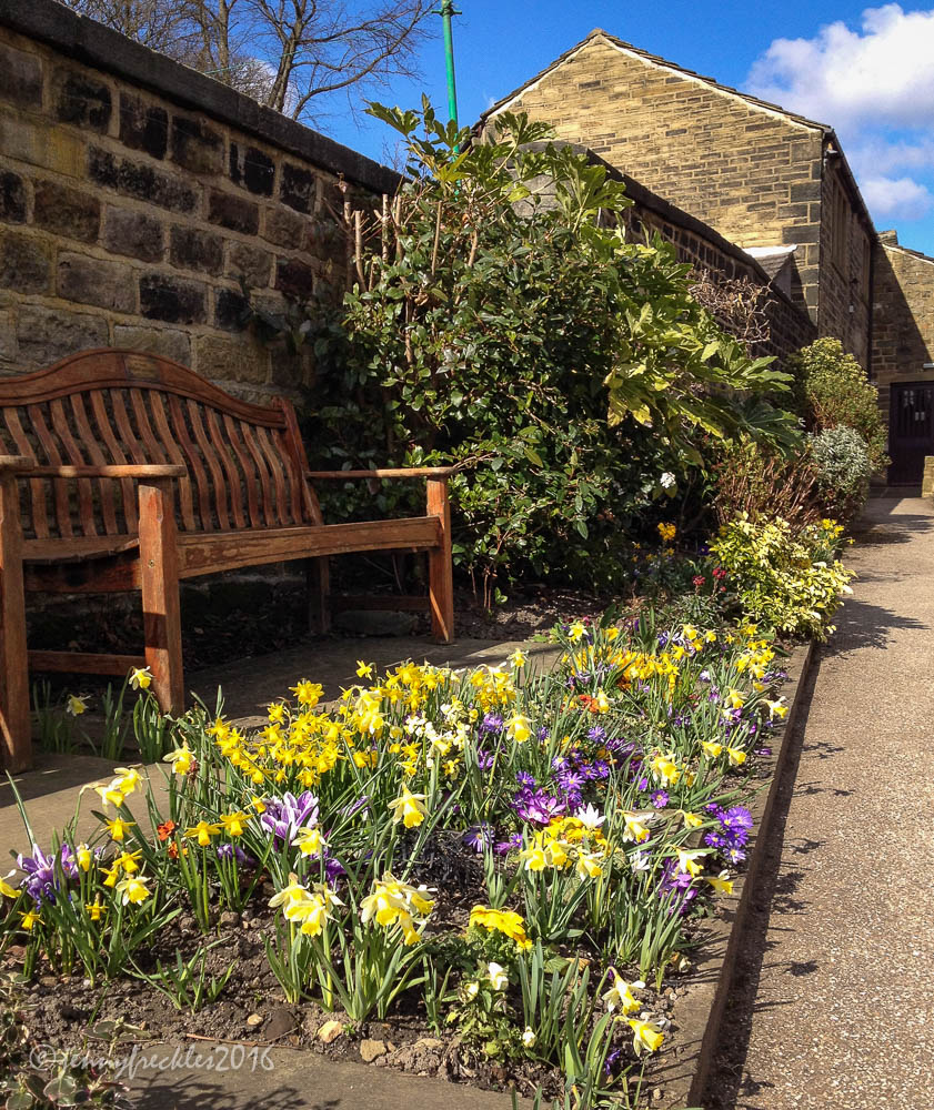 Saltaire Daily Photo Calverley walk 4