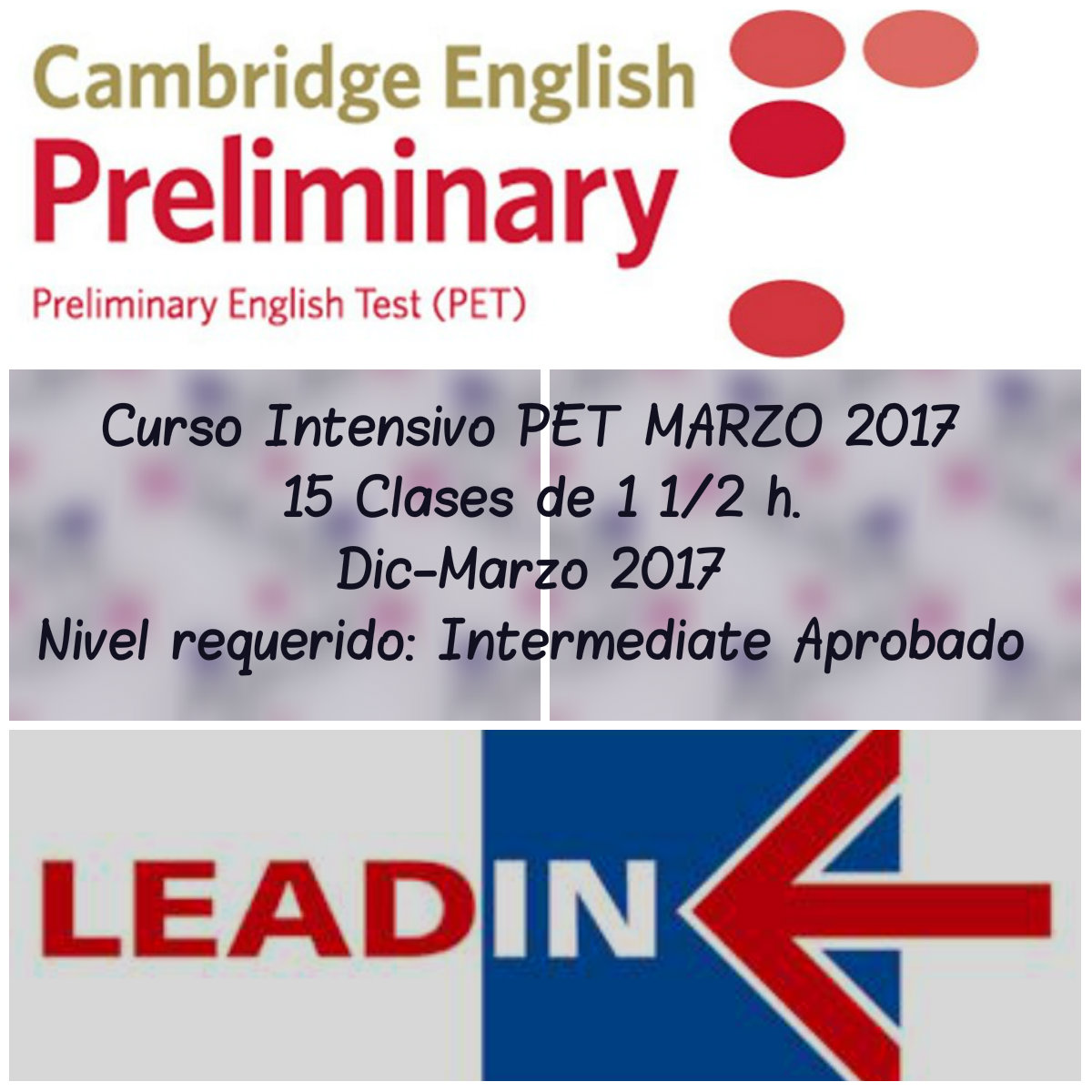 LEAD IN English Language Teaching