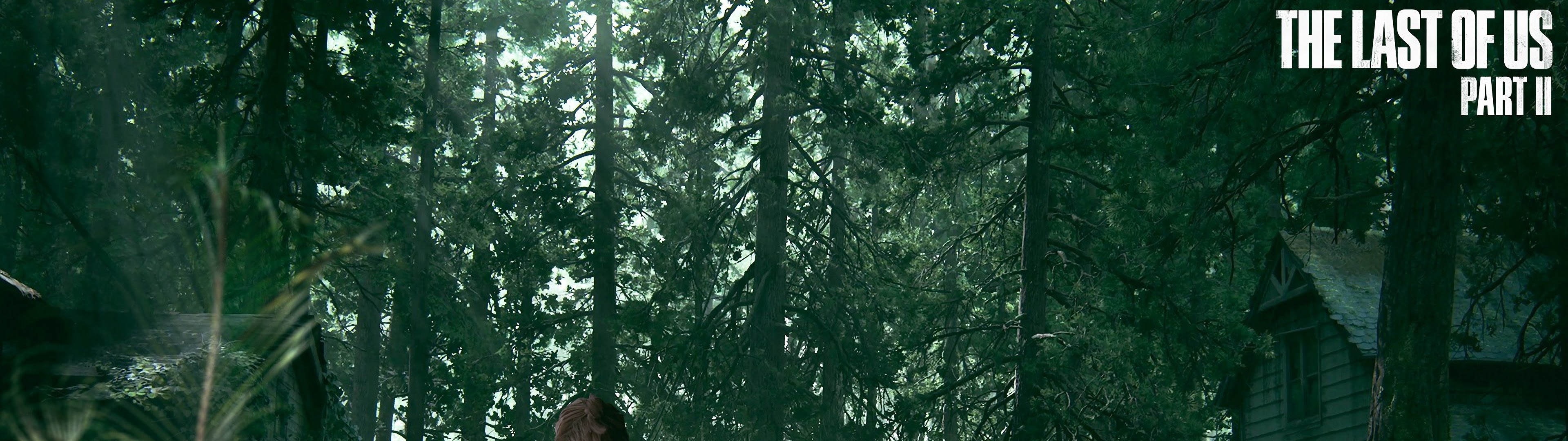 The Last of Us Part 2, 4K, #18 Wallpaper PC Desktop