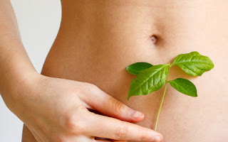 Beneficios de las plantas