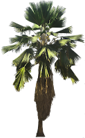 NEW 2017 low-res