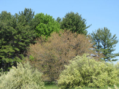 photo label