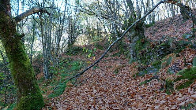 Castañeru en la Ruta del Silencio - Asturias Castañeru en la Ruta del Silencio - Asturias