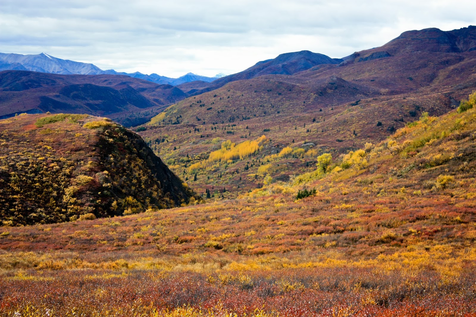 Alaska Adventure Eureka, Alaska Bellanger Pass ATV/UTV Ride and Hunt