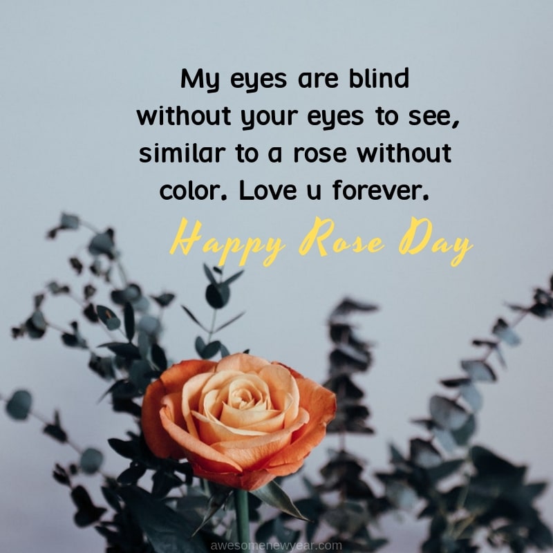 Beautiful Rose Day Quotes to share with your Love on Valentines Day