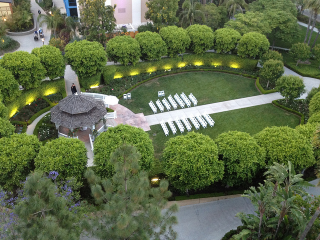 View of the Rose Court Garden from above