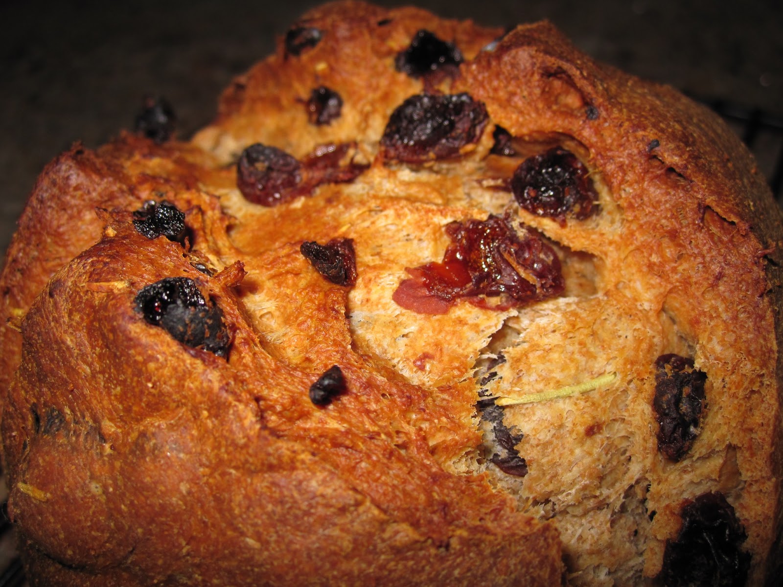 Off Belay Cafe Rosemary Raisin Bread
