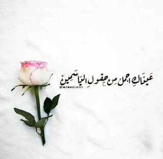 صورة جميلة صور جميلة 2022