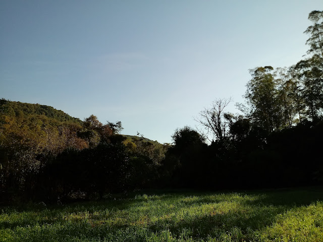 Região de tranquilidade para fazer trilhas e anda entre as árvores nativas e observar cada detalhe dessa natureza exuberante e respirar ar limpo,puro para purificar os pulmões e restabelecer a saúde física e mental.