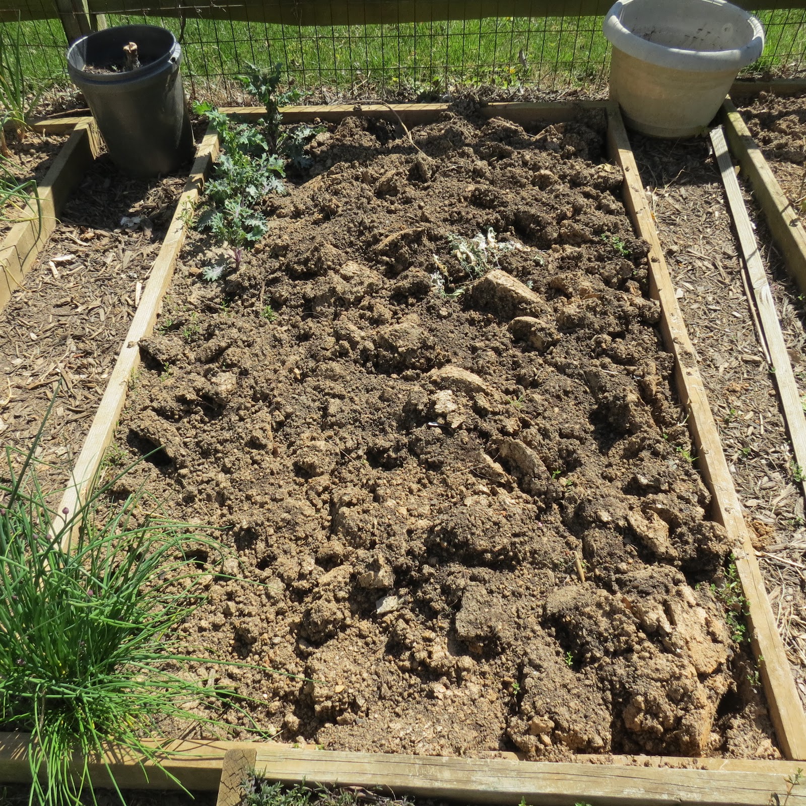 The Rusted Vegetable Garden
