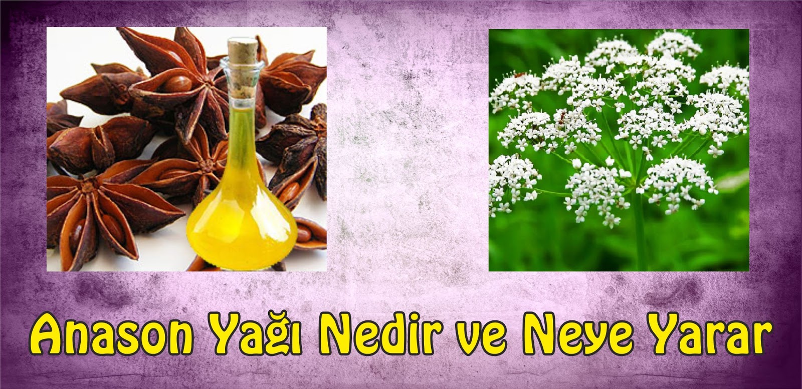 Trans Yağ Nedir Trans Yağ Nedir