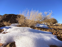 Patch of snow on the east flank of Ryan Mountain, Joshua Tree National Park