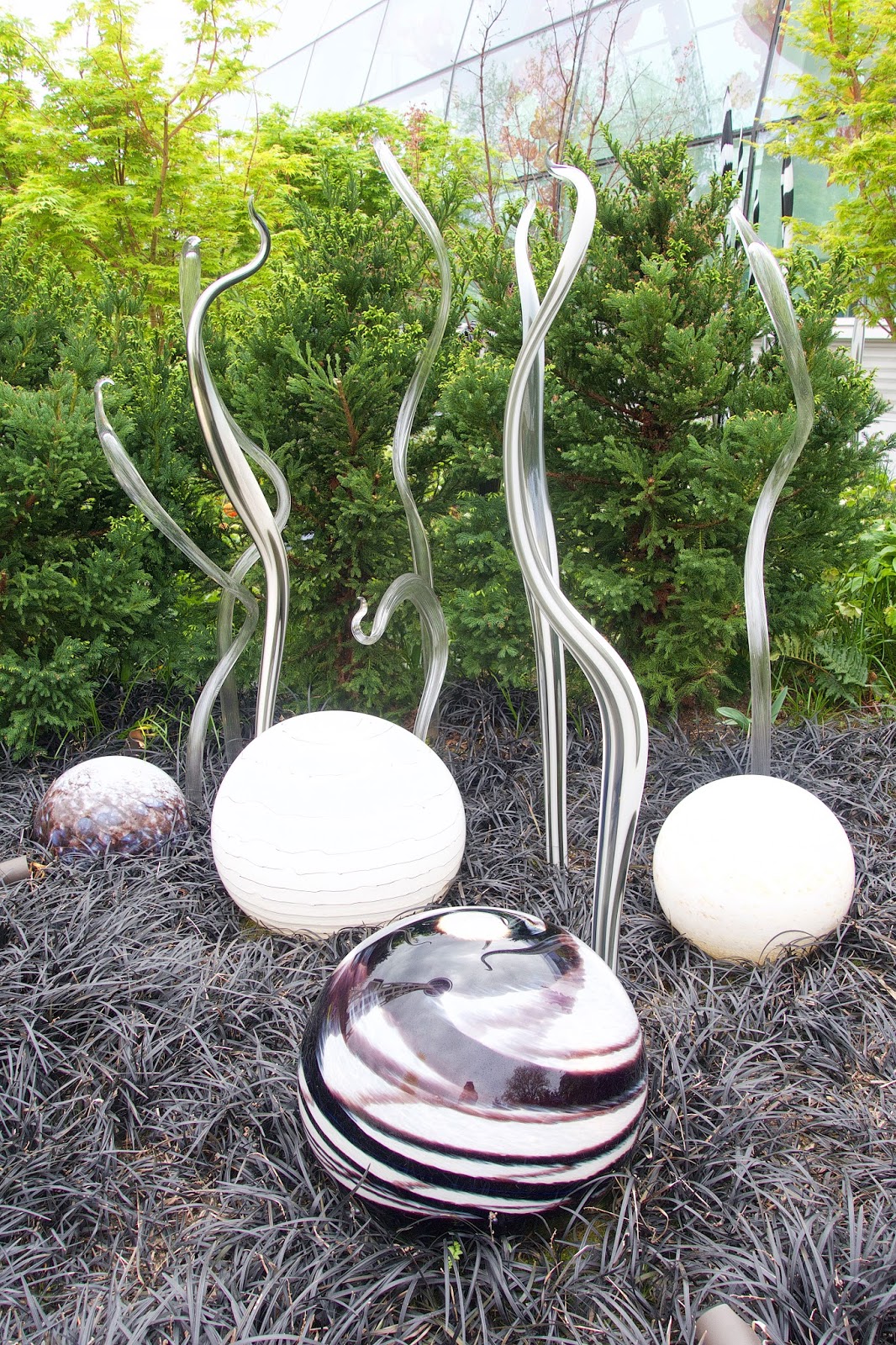 Chihuly Garden and Glass Seattle, WA Plain Chicken®