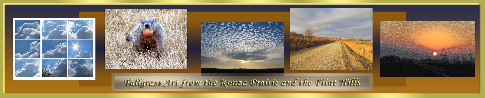 Konza Prairie Girl Color Pallette