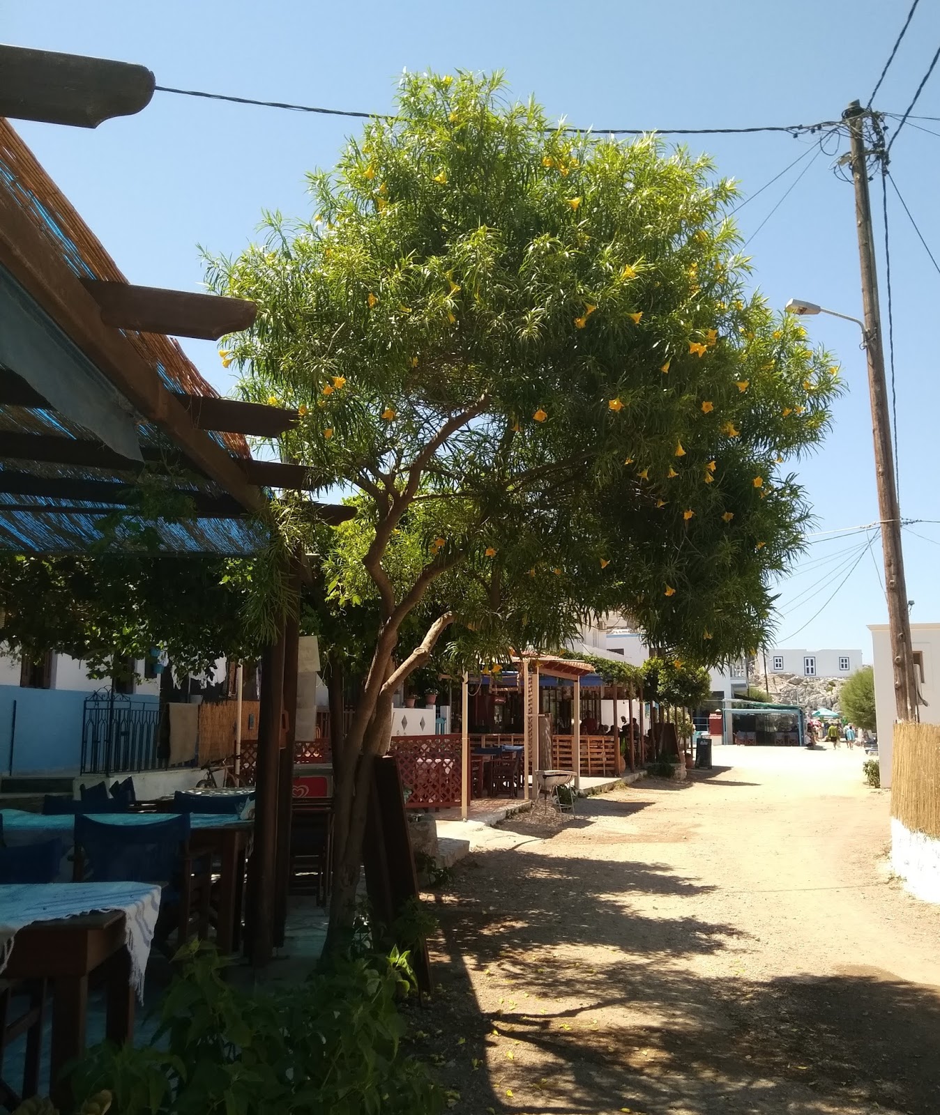 Kos Adası: Hipokrat Havaalanı misafirler için bekliyor 17