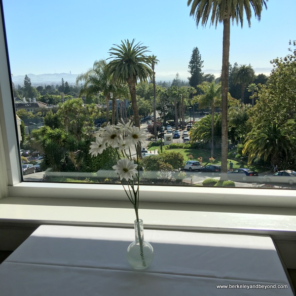 view from Meritage at the Claremont Club & Spa, a Fairmont Hotel in Berkeley, California view from Meritage at the Claremont Club & Spa, a Fairmont Hotel in Berkeley, California